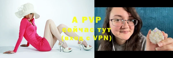 стафф Алексеевка