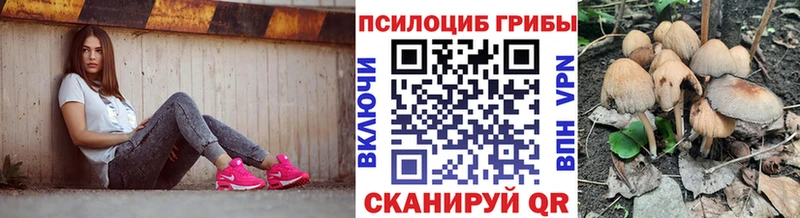 Псилоцибиновые грибы GOLDEN TEACHER  Белореченск 